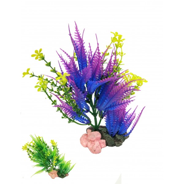 ΔΙΑΚΟΣΜΗΤΙΚΟ ΦΥΤΟ ΕΝΥΔΡΕΙΟΥ